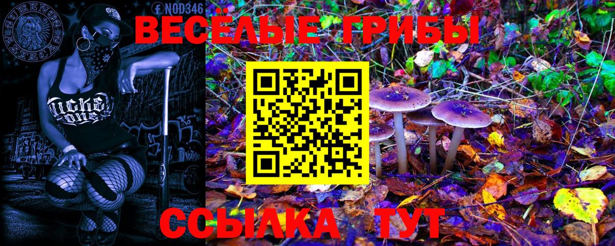 Псилоцибиновые грибы Magic Shrooms  Вход с VPN  цена   Галлюциногенные грибы Psilocybine cubensis  Алексеевка 