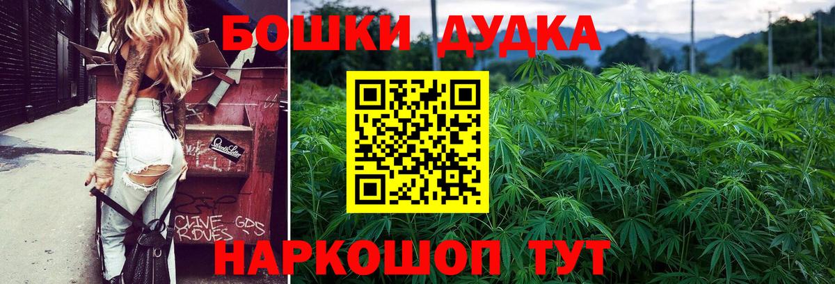 Конопля сатива Алексеевка